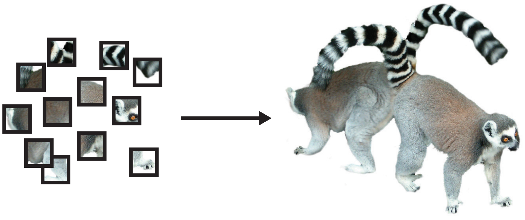 Perceptual grouping of natural image